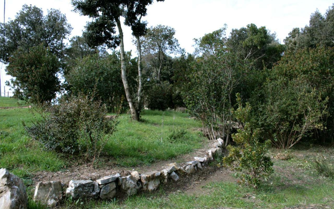 Villa Liburnia 리보르노 외부 사진